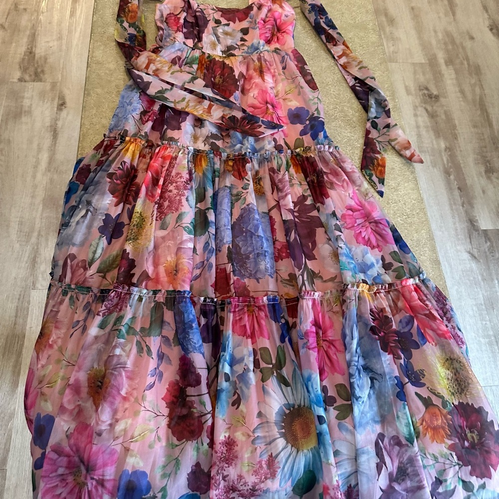 Francesca's Vibrant Floral Dress